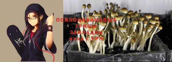 а пвп мука Гусиноозёрск