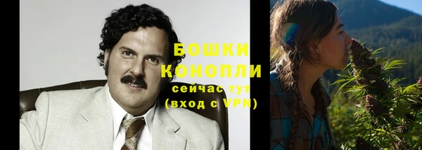 мет Гусев