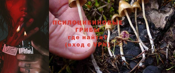 бутират Гусь-Хрустальный
