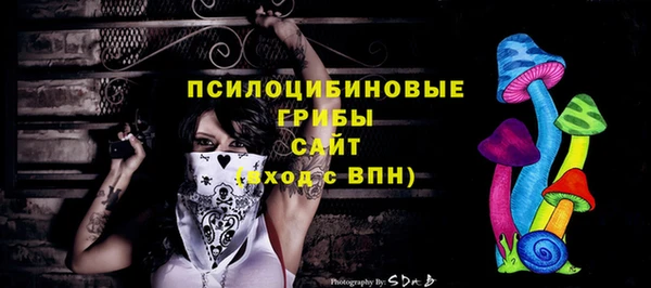 а пвп мука Гусиноозёрск