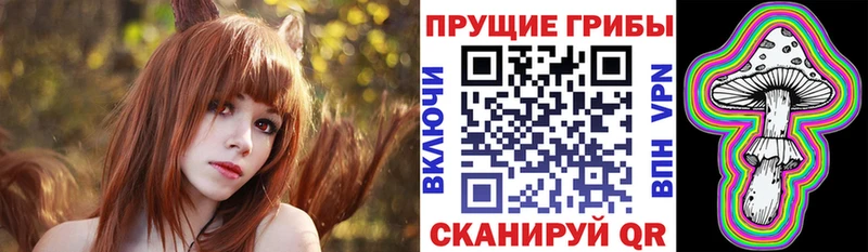 где найти наркотики  Железноводск  Галлюциногенные грибы Psilocybe 