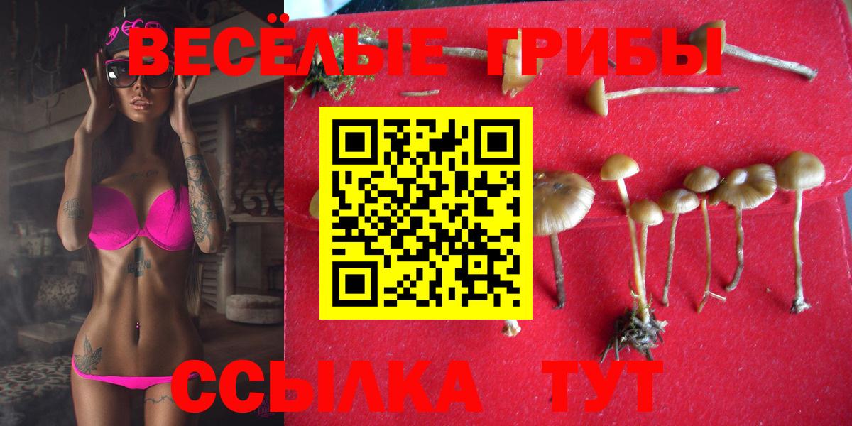 Псилоцибиновые грибы Psilocybine cubensis Железноводск